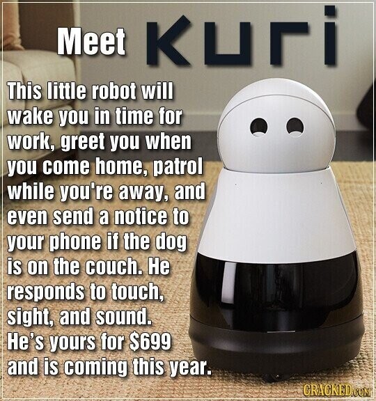 Meet Kuri This little robot will wake you in time for work, greet you when you come home, patrol while you're away, and even send a notice to your phone if the dog is on the couch. Не responds to touch, sight, and sound. He's yours for $699 and is coming this year. CRACKED.COM