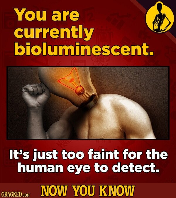 You are currently bioluminescent. It's just too faint for the human eye to detect. NOW YOU KNOW CRACKED.COM