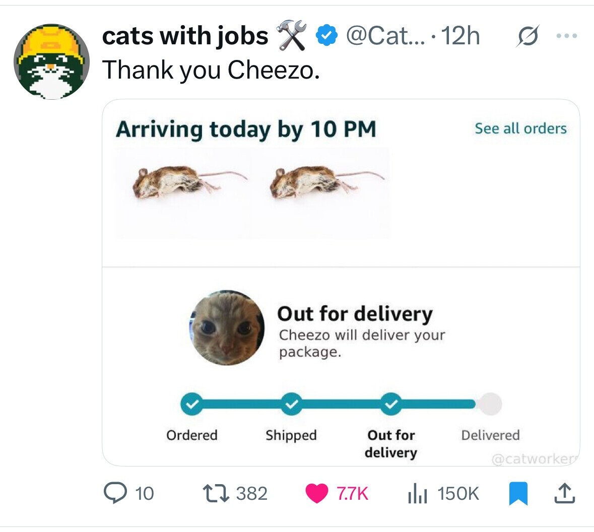 @Cat... 12h cats with jobs ... Thank you Cheezo. Arriving today by 10 PM See all orders Out for delivery Cheezo will deliver your package. Ordered Out for Shipped Delivered delivery @catworker 10 382 7.7K 150K 