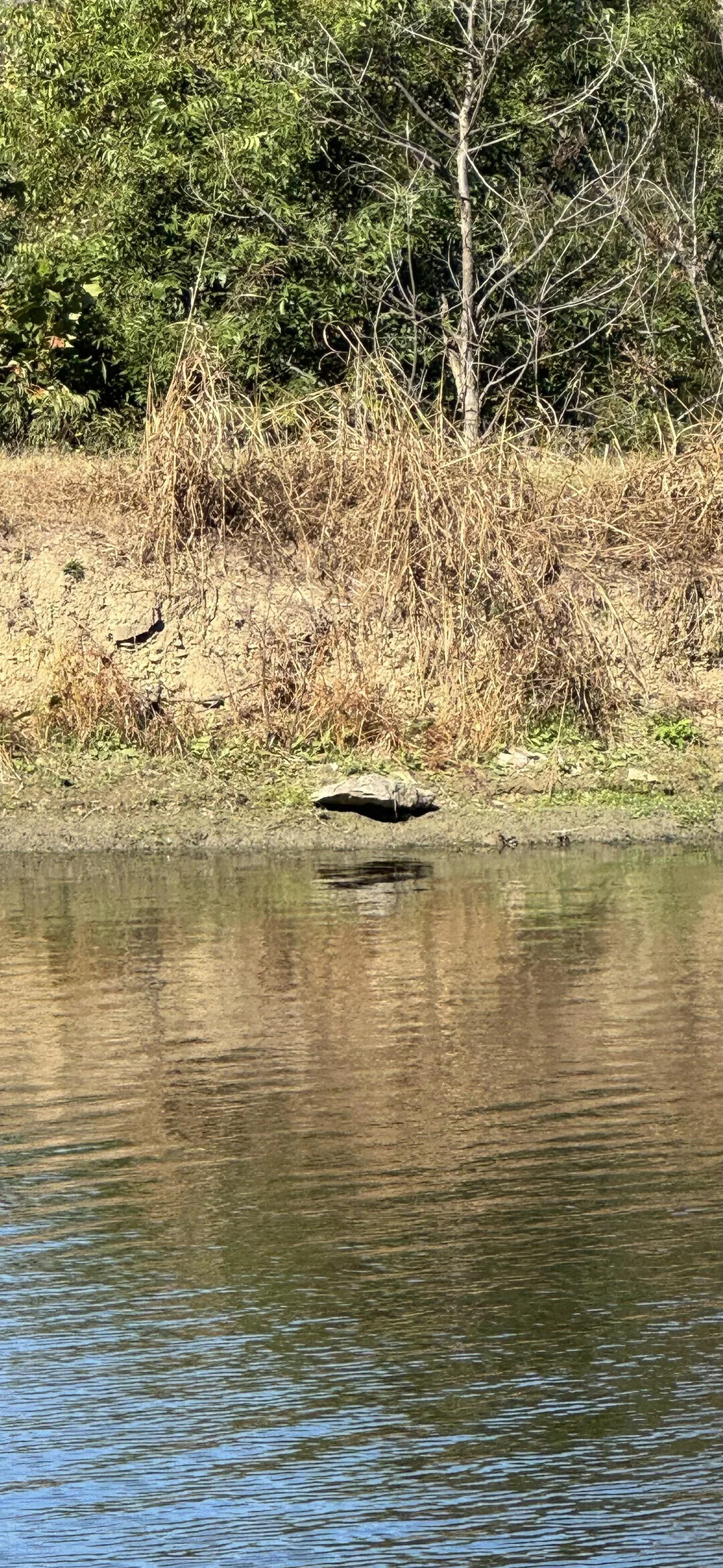 Zen to Zaney Photos Where Your Eyes Get Tricked