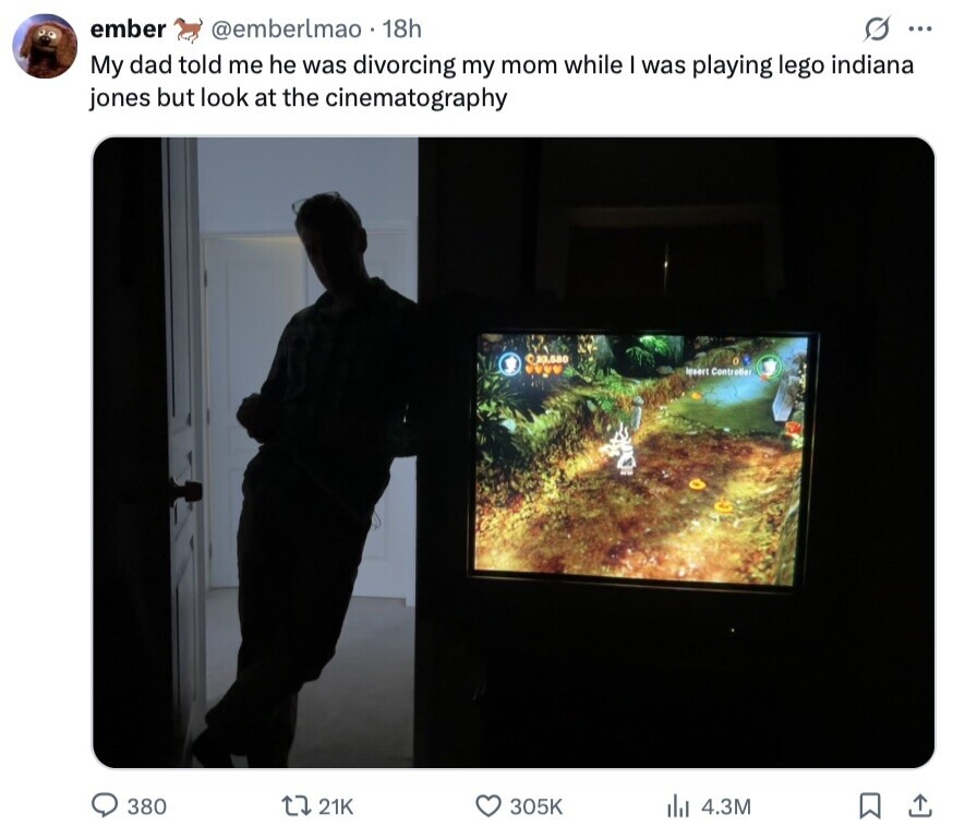 ember @emberlmao 18h G ... My dad told me he was divorcing my mom while I was playing lego indiana jones but look at the cinematography © 33.580 Insert Controller 380 21K 305K 4.3M 