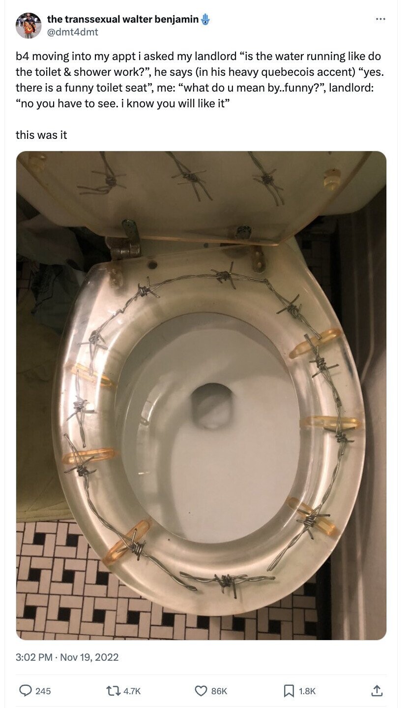the transsexual walter benjamin ... @dmt4dmt b4 moving into my appt i asked my landlord is the water running like do the toilet & shower work?, he says (in his heavy quebecois accent) yes. there is a funny toilet seat, me: what do u mean by..funny?, landlord: no you have to see. i know you will like it this was it 3:02 PM Nov 19, 2022 245 4.7K 86K 1.8K