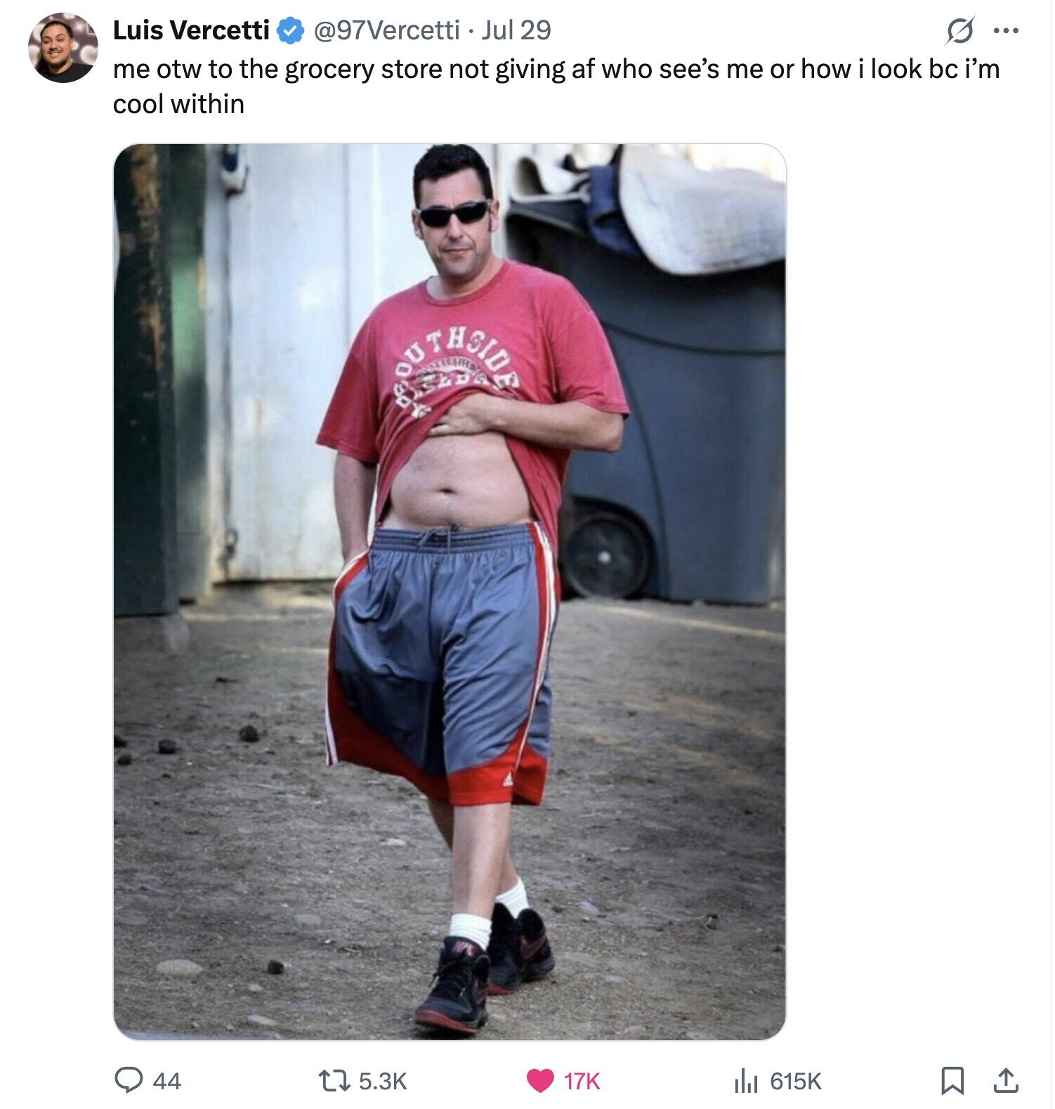 Luis Vercetti @97Vercetti Jul 29 G ... me otw to the grocery store not giving af who see's me or how i look bc i'm cool within Ape OU SLDG OUTHSIDE 44 5.3K 17K 615K