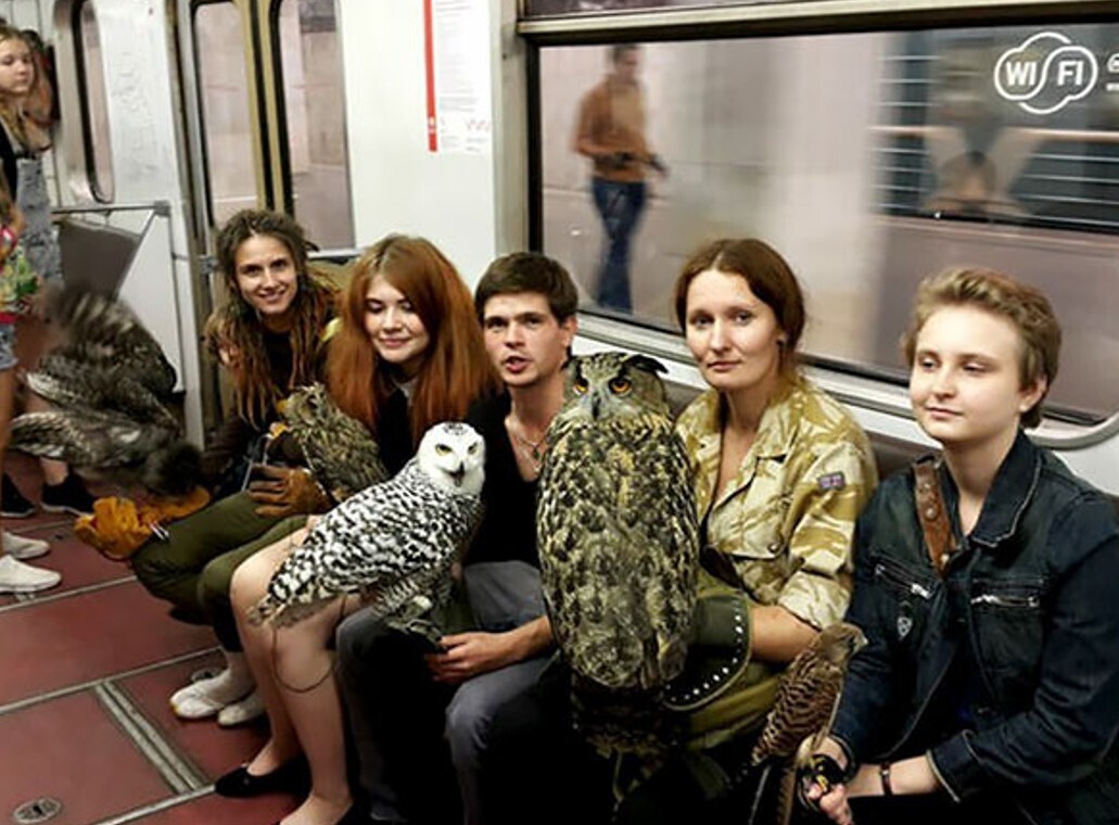 Notable Photos from a Recent Trip on the Subway