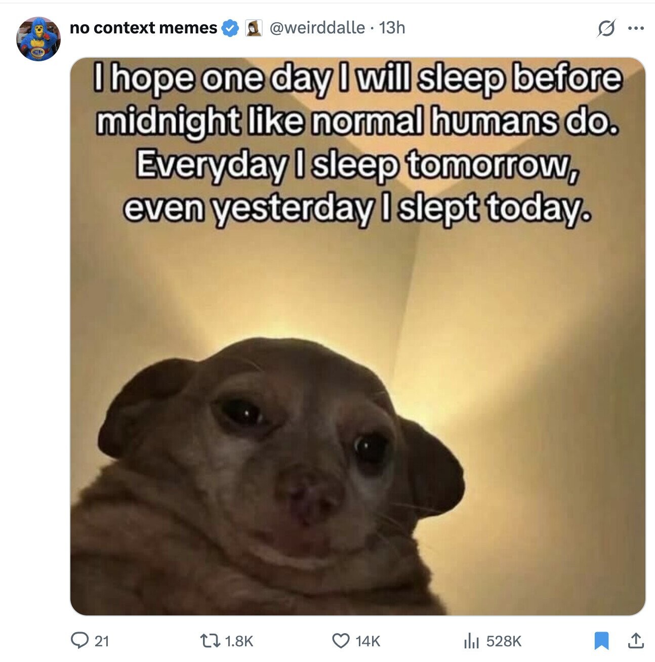 no context memes @weirddalle 13h ... I hope one day I will sleep before midnight like normal humans do. Everyday I sleep tomorrow, even yesterday I slept today. 21 1.8K 14K 528K