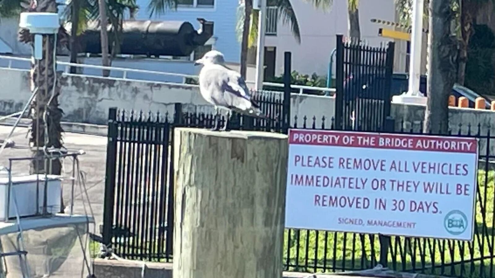 17 People Who Ignored Every Warning Sign Available | Cracked.com