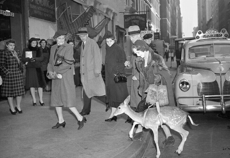 Photos Showing That America’s Always Been A Bit Weird