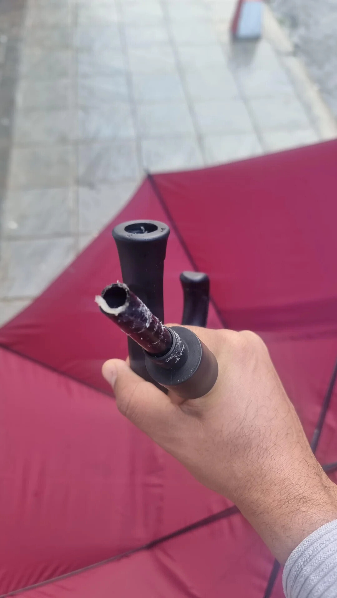 Photos That Make You Wonder If Humanity Needs a Reboot