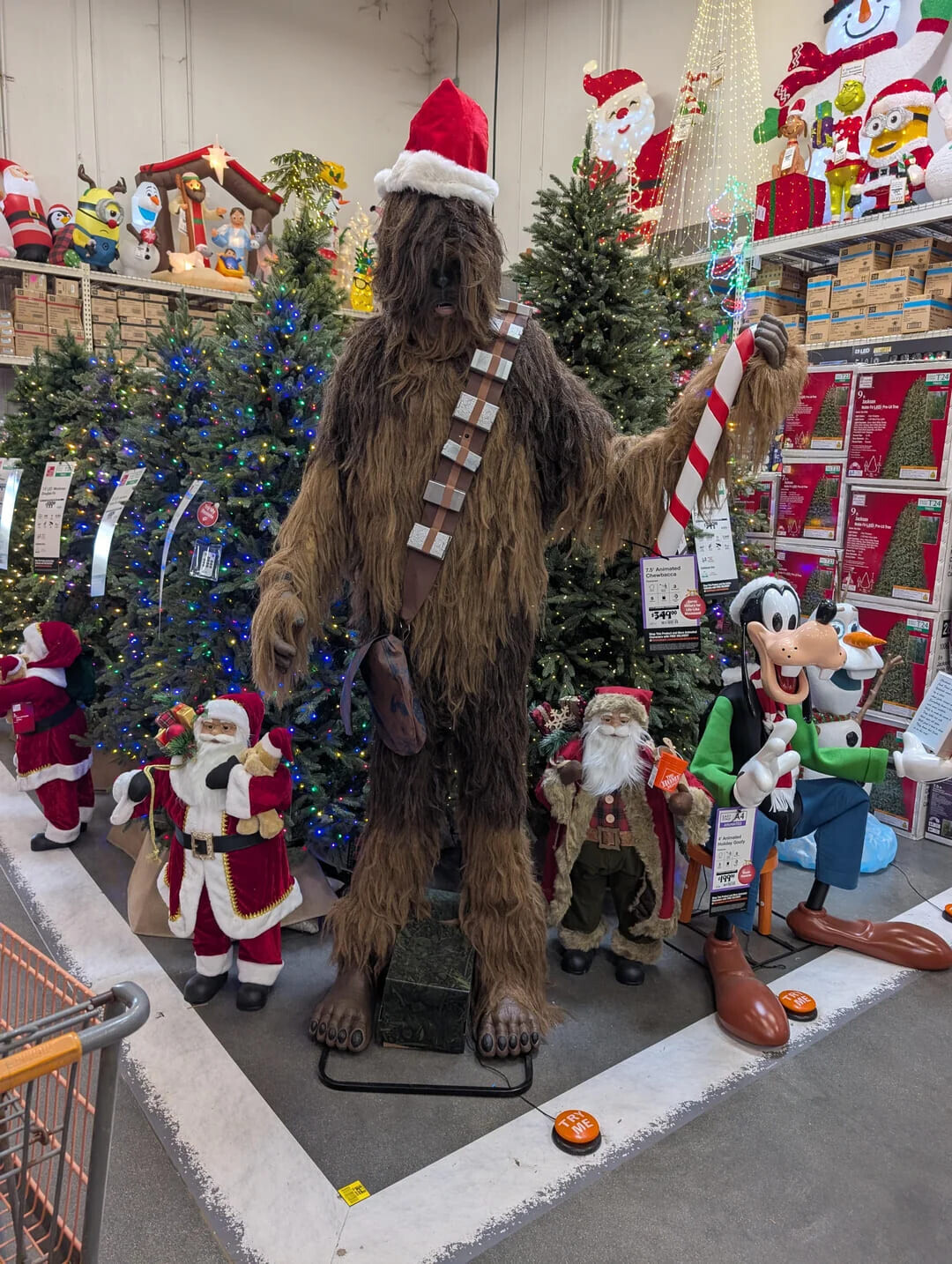 sp .... Chewtacca Animated 34900 IN - animated does 199 ME TRY ME