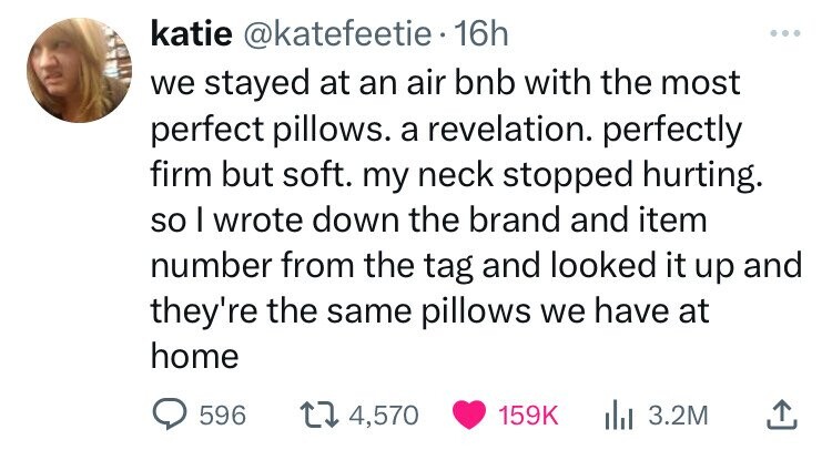katie @katefeetie 16h we stayed at an air bnb with the most perfect pillows. a revelation. perfectly firm but soft. my neck stopped hurting. so I wrote down the brand and item number from the tag and looked it up and they're the same pillows we have at home 596 4,570 159K 3.2M