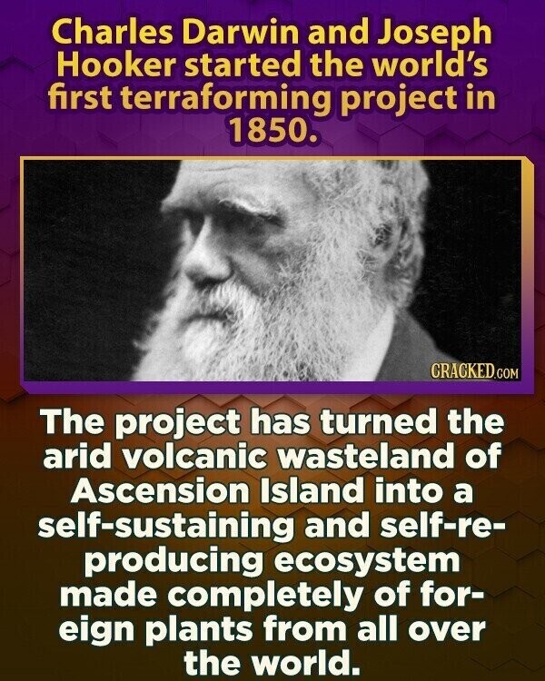 Charles Darwin and Joseph Hooker started the world's first terraforming project in 1850. CRACKED.COM The project has turned the arid volcanic wasteland of Ascension Island into a self-sustaining and self-re- producing ecosystem made completely of for- eign plants from all over the world.