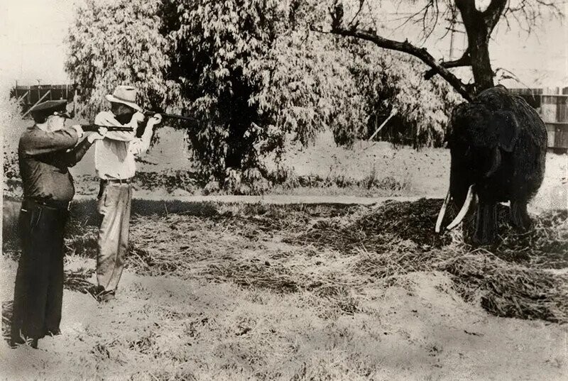 Photos Showing That America’s Always Been A Bit Weird