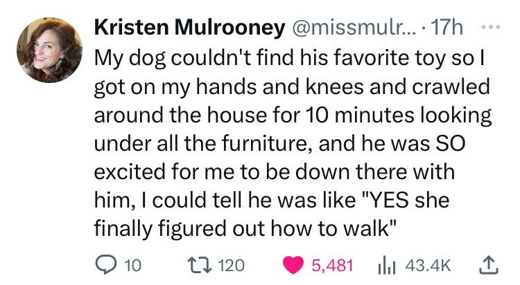 Kristen Mulrooney @missmulr... 17h ... My dog couldn't find his favorite toy so I got on my hands and knees and crawled around the house for 10 minutes looking under all the furniture, and he was so excited for me to be down there with him, I could tell he was like YES she finally figured out how to walk 10 120 5,481 43.4K