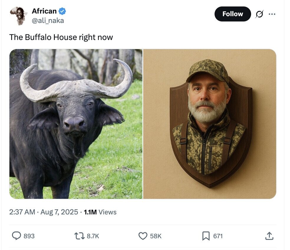 African Follow s ... @ali_naka The Buffalo House right now 2:37 AM Aug 7, 2025 1.1M Views 893 8.7K 58K 671 