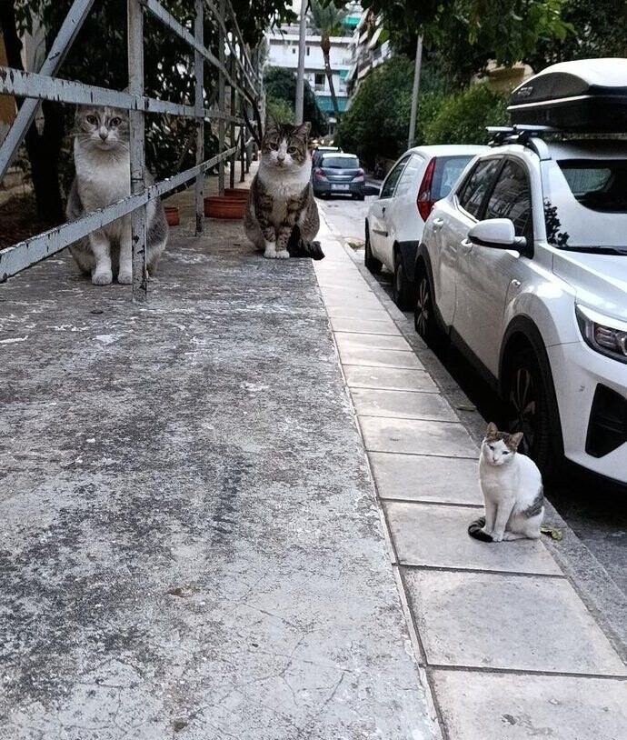 Photos That Need a Second Look to Make Sense