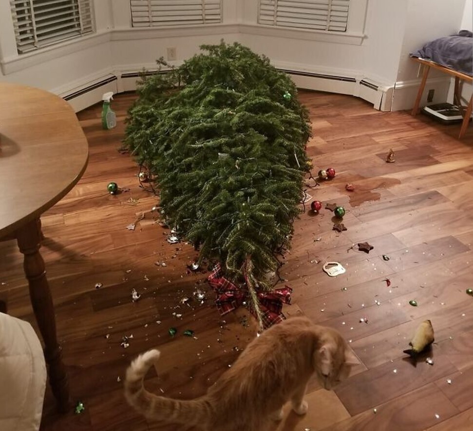 20 Photos from if the Grinch Stole Christmas