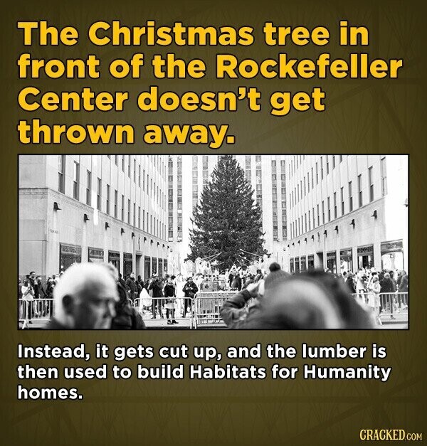 The Christmas tree in front of the Rockefeller Center doesn't get thrown away. Instead, it gets cut up, and the lumber is then used to build Habitats for Humanity homes. CRACKED.COM