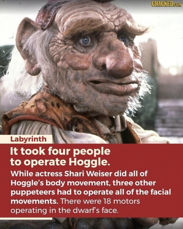 CRACKED.COM Labyrinth It took four people to operate Hoggle. While actress Shari Weiser did all of Hoggle's body movement, three other puppeteers had to operate all of the facial movements. There were 18 motors operating in the dwarf's face.