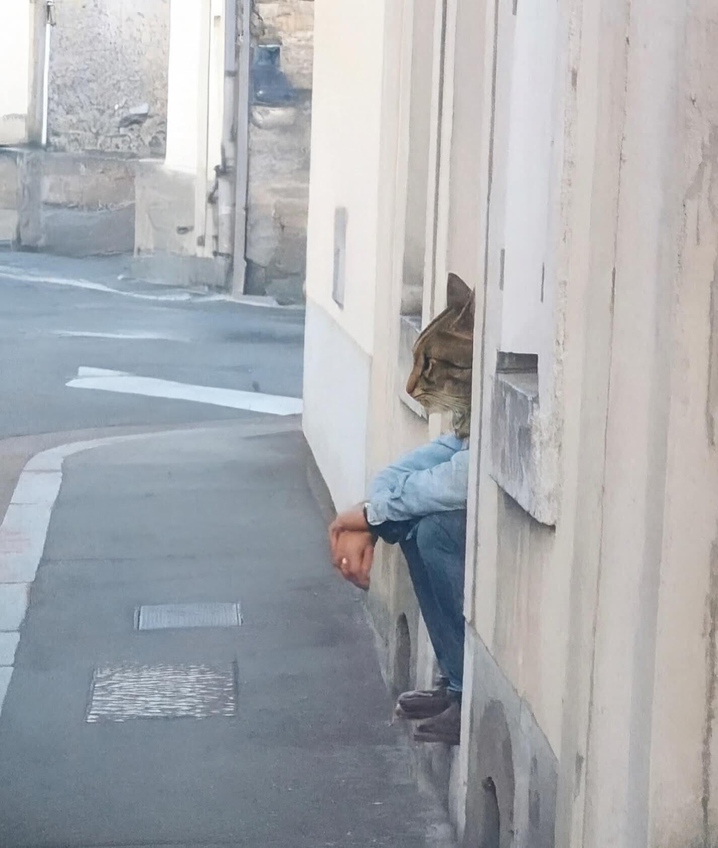 Photos That Need a Second Look to Make Sense