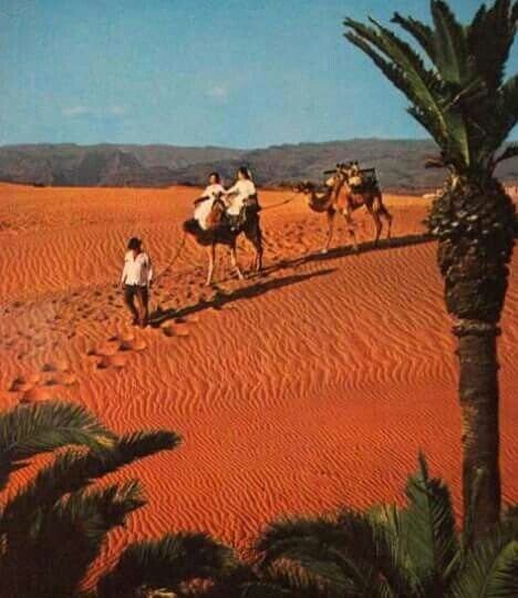 Photos From 1973 That Look Like They’re From Mars