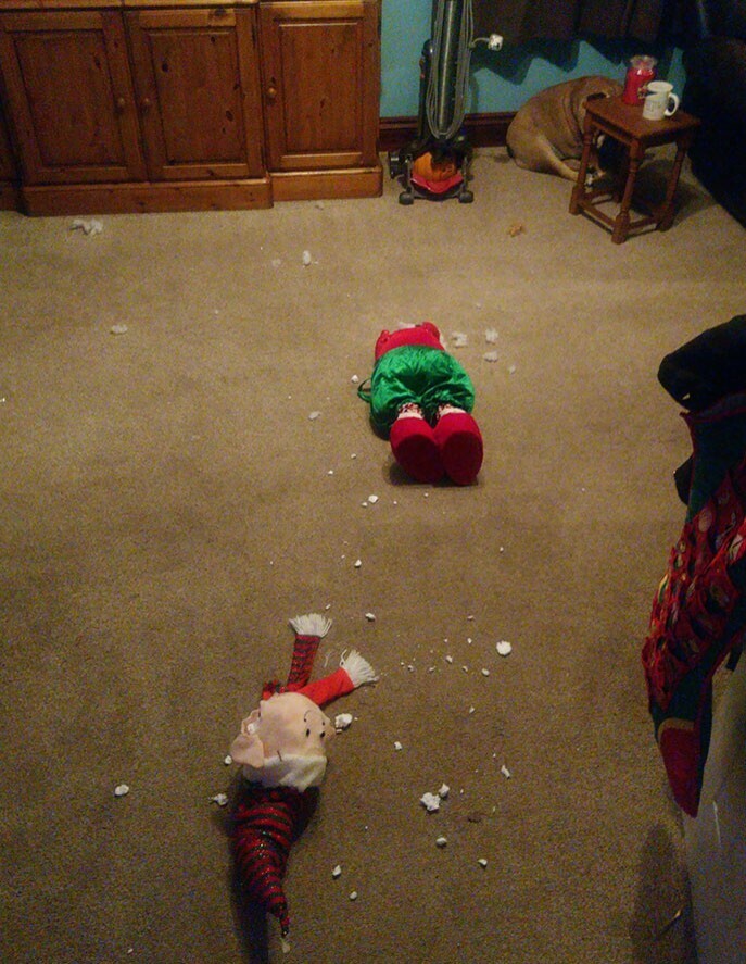 20 Photos from if the Grinch Stole Christmas