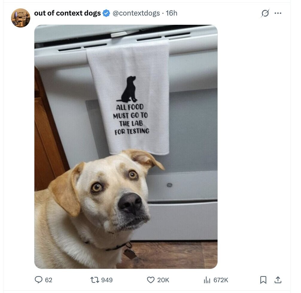 s out of context dogs @contextdogs. 16h ... ALL FOOD MUST GO TO THE LAB FOR TESTING 62 949 20K 672K 
