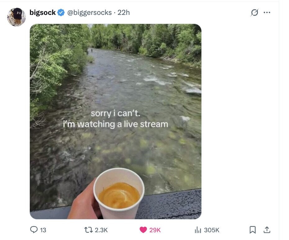 bigsock @biggersocks - . 22h G ... sorry i can't. i'm watching a live stream 13 2.3K 29K 305K 