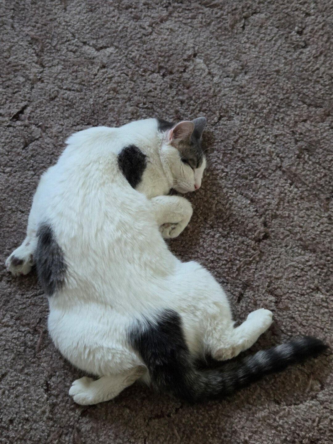 Photos That Need a Second Look to Make Sense