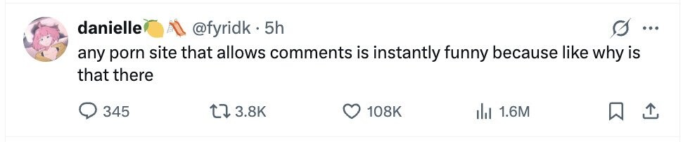 danielle @fyridk . 5h ... any porn site that allows comments is instantly funny because like why is that there 345 3.8K 108K 1.6M 