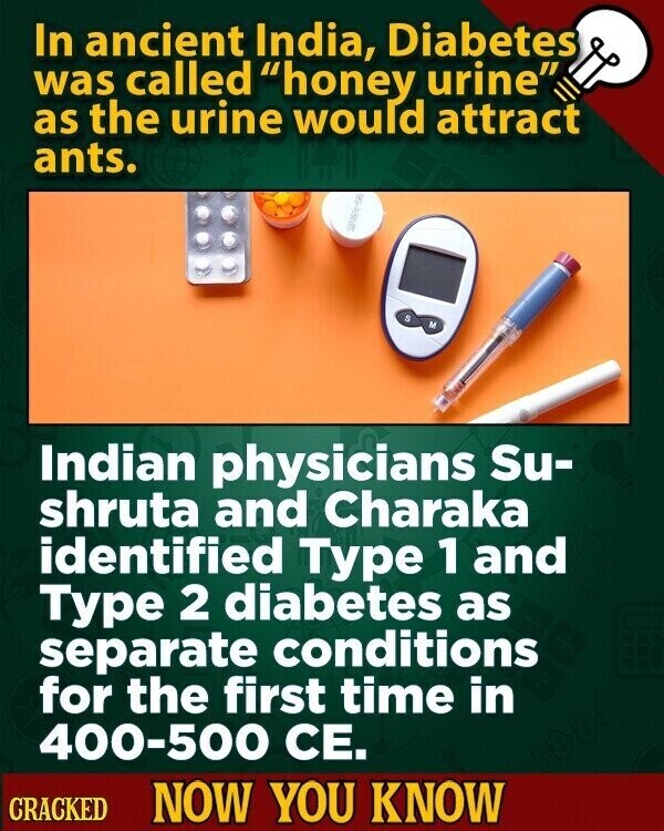 In ancient India, Diabetes was called honey urine as the urine would attract ants. 8 M Indian physicians Su- shruta and Charaka identified Type 1 and Type 2 diabetes as separate conditions for the first time in 400-500 CE. CRACKED NOW YOU KNOW
