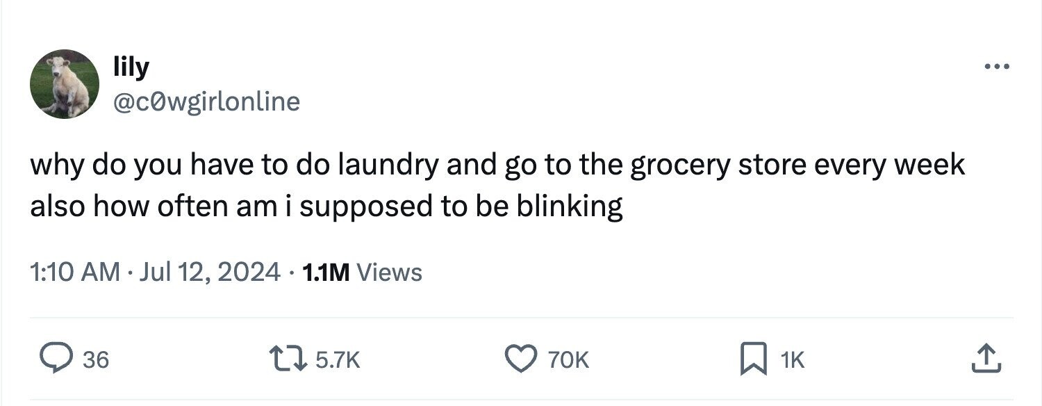 lily ... @c0wgirlonline why do you have to do laundry and go to the grocery store every week also how often am i supposed to be blinking 1:10 AM Jul 12, 2024 1.1M Views 36 5.7K 70K 1K