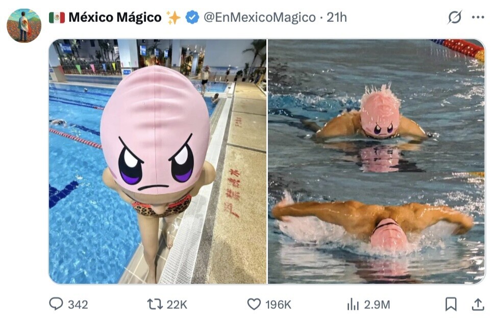 México Mágico @EnMexicoMagico - 21h 0 ... 342 22K 196K del 2.9M 
