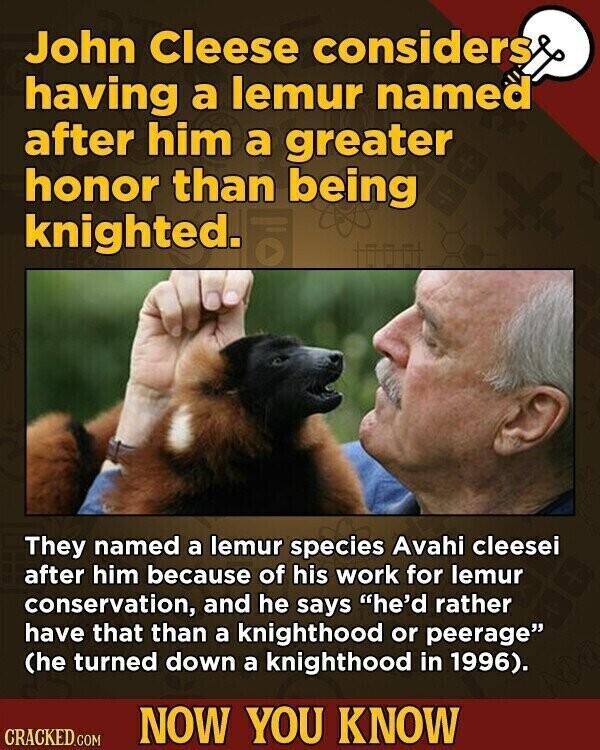 John Cleese considers having a lemur named after him a greater honor than being knighted. They named a lemur species Avahi cleesei after him because of his work for lemur conservation, and he says he'd rather have that than a knighthood or peerage (he turned down a knighthood in 1996). NOW YOU KNOW CRACKED.COM