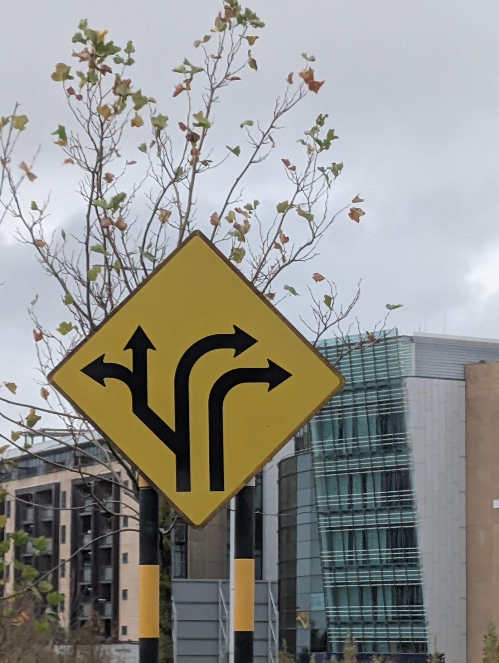 Photos Showing Common Sense Is Actually Quite Rare