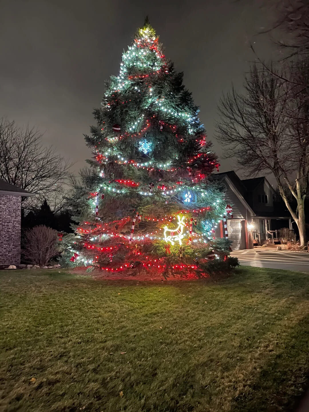 Cool & Interesting Christmas Things People Found