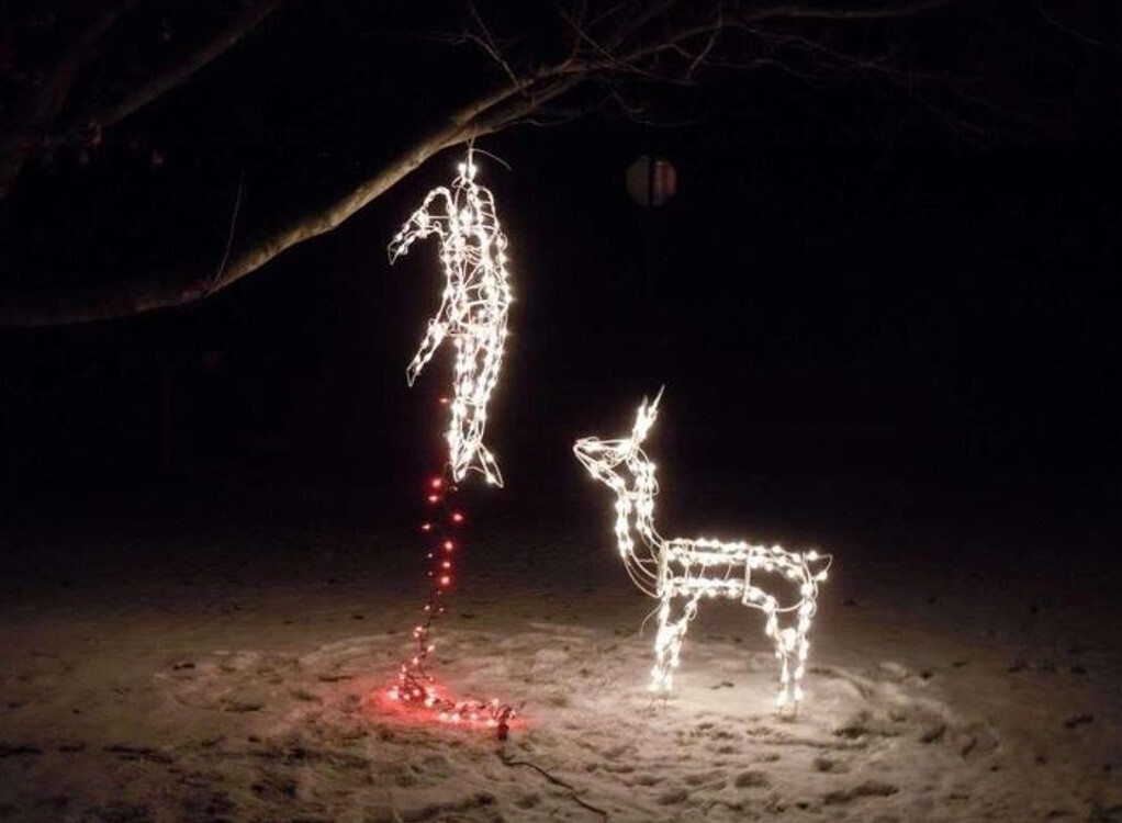 20 Photos from if the Grinch Stole Christmas