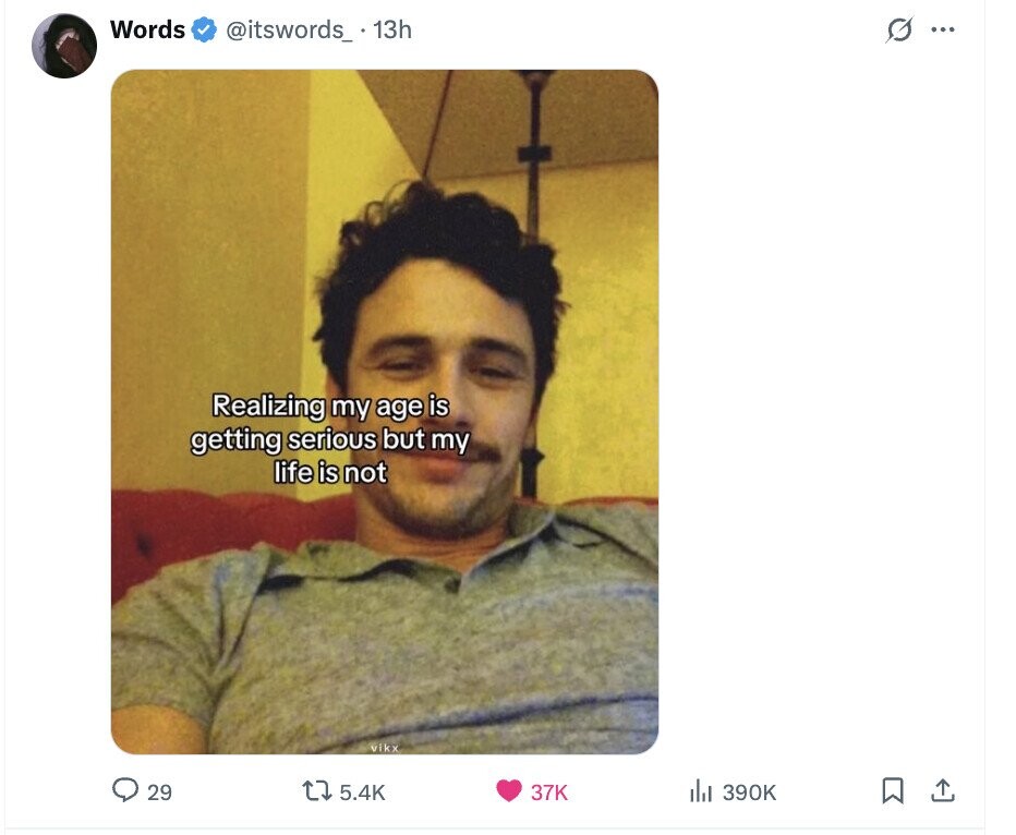 Words @itswords_.13h G ... Realizing my age is getting serious but my life is not vikx 5.4K del 390K 29 37K 