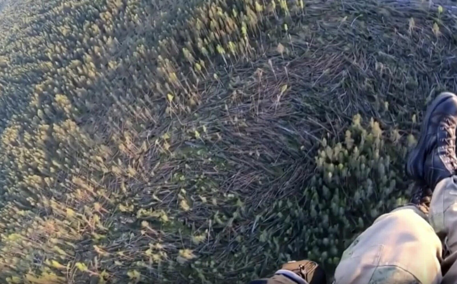 Photos That Need a Second Look to Make Sense