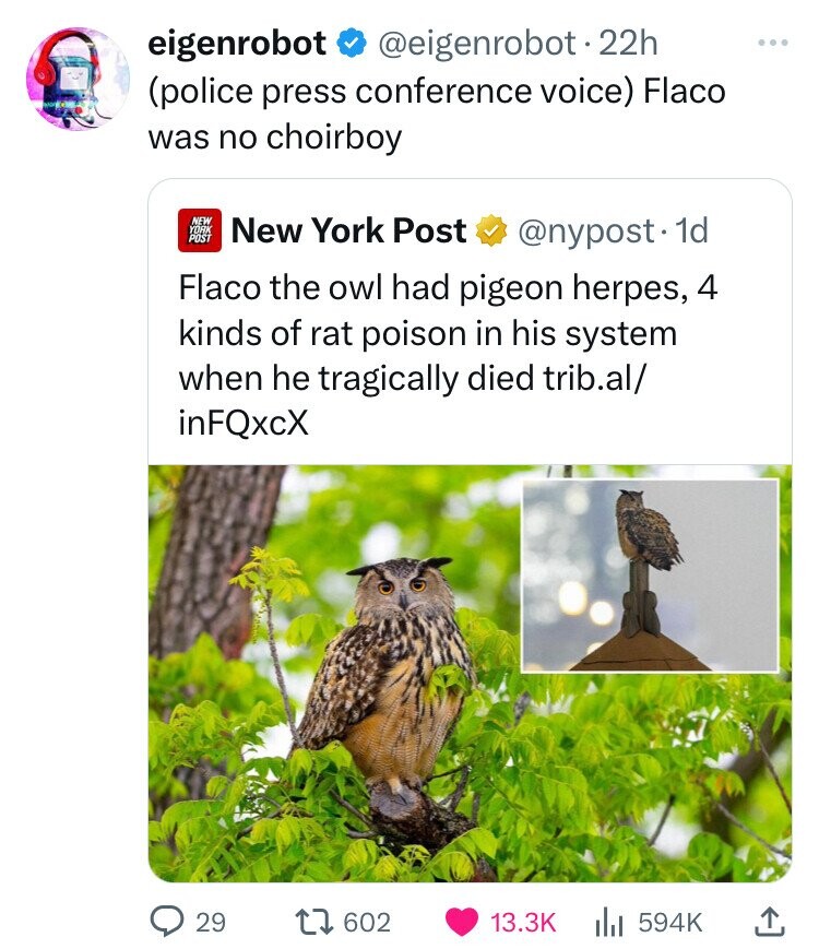 eigenrobot @eigenrobot.2 22h ... (police press conference voice) Flaco was no choirboy NEW YORK New York Post POST @nypost. 1d Flaco the owl had pigeon herpes, 4 kinds of rat poison in his system when he tragically died trib.al/ inFQxcX 29 602 13.3K 594K 