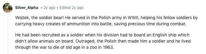 Silver_Alpha 2y ago Edited 2y ago Wojtek, the soldier bear! Не served in the Polish army in WWII, helping his fellow soldiers by carrying heavy creates of ammunition into battle, saving precious time during combat. Не had been recruited as a soldier when his division had to board an English ship which didn't allow animals on board. Outraged, the Polish then made him a soldier and he lived through the war to die of old age in a zoo in 1963. 
