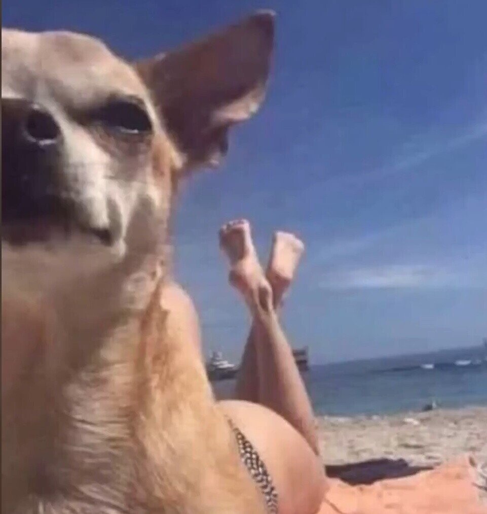 Photos That Need a Second Look to Make Sense