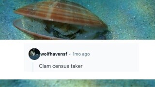 26 Jobs That Sound Made Up But Are Real