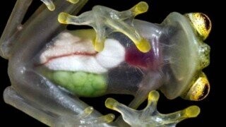 Interesting Facts We Thought You’d Like To Know