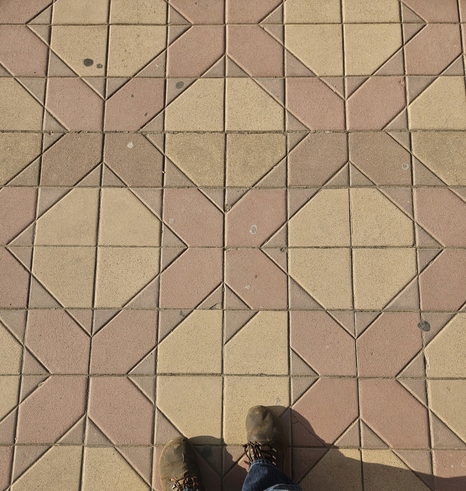 Photos Showing Common Sense Is Actually Quite Rare