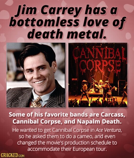 Jim Carrey has a bottomless love of death metal. CANNIBAL CORPSE Some of his favorite bands are Carcass, Cannibal Corpse, and Napalm Death. Не wanted to get Cannibal Corpse in Ace Ventura, so he asked them to do a cameo, and even changed the movie's production schedule to accommodate their European tour. CRACKED.COM