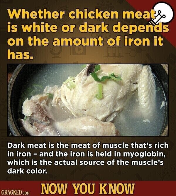 Whether chicken meat is white or dark depends on the amount of iron it has. Dark meat is the meat of muscle that's rich in iron - and the iron is held in myoglobin, which is the actual source of the muscle's dark color. NOW YOU KNOW CRACKED.COM