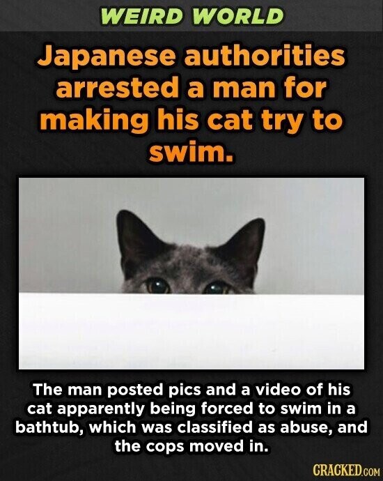 WEIRD WORLD Japanese authorities arrested a man for making his cat try to swim. The man posted pics and a video of his cat apparently being forced to swim in a bathtub, which was classified as abuse, and the cops moved in. CRACKED.COM