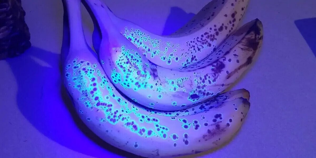 Interesting Facts We Thought You’d Like To Know