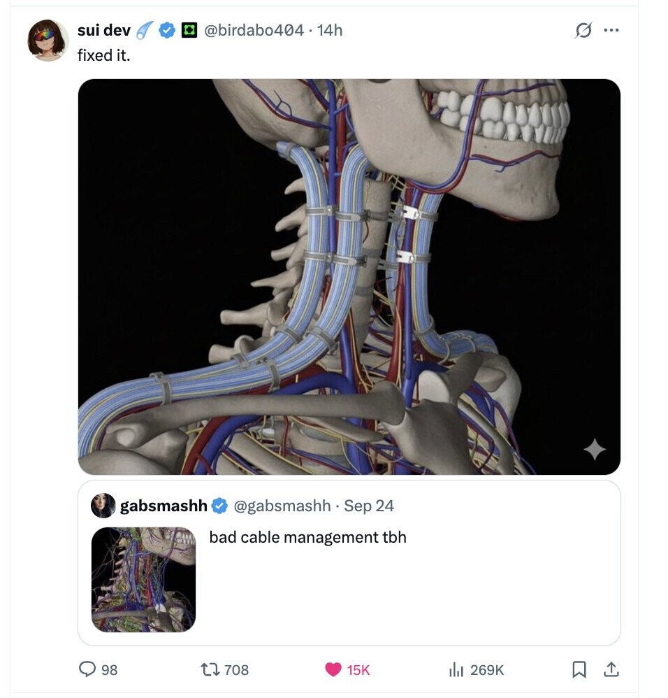 sui dev @birdabo404.14h G ... fixed it. gabsmashh @gabsmashh Sep 24 bad cable management tbh 98 708 15K del 269K 