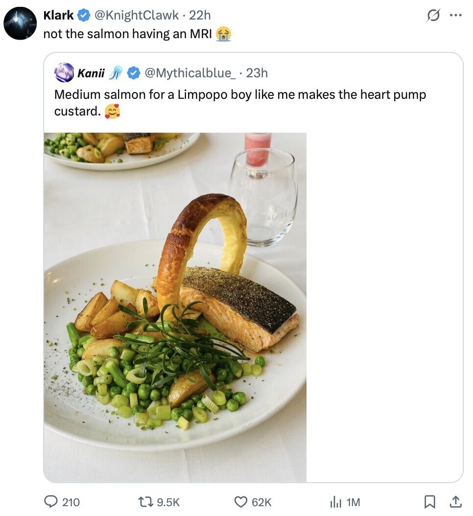 Klark G @KnightClawk 22h ... not the salmon having an MRI Kanii @Mythicalblue_ . 23h Medium salmon for a Limpopo boy like me makes the heart pump custard. 210 9.5K 62K del 1M 